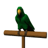 parrotonstand.gif